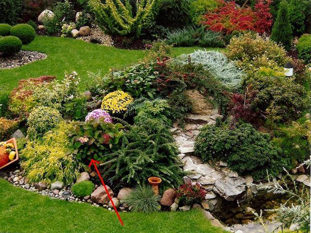 mojabudowa.pl - blog budowlany